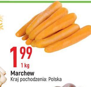 E.Leclerc Marchew oferta