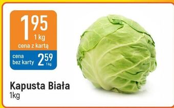 Kapusta biała