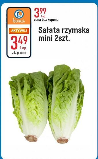 E.Leclerc Sałata rzymska mini oferta