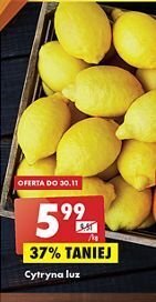 Biedronka Cytryny oferta