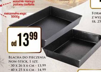 Dino Blacha 40 x 25 6 cm oferta