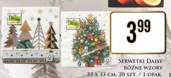 Dino Serwetki daisy oferta
