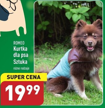 ALDI Romeo Kurtka dla psa 1szt. różne rodzaje oferta