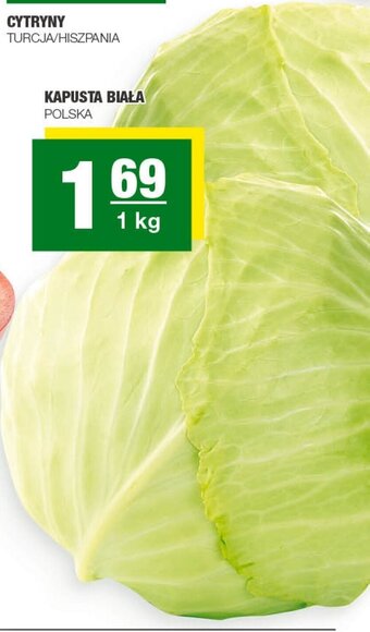 Spar KAPUSTA BIAŁA POLSKA 1kg oferta