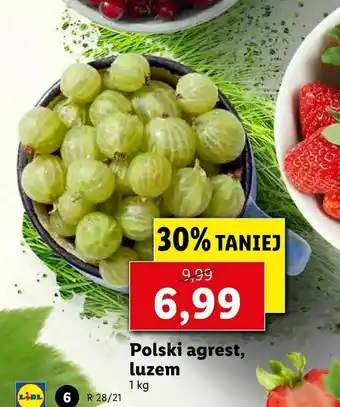 Lidl Polski agrest, luzem oferta