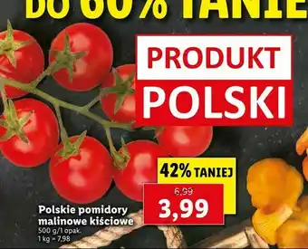 Lidl Polskie pomidory malinowe kiściowe oferta