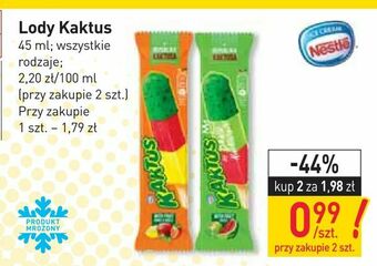 Stokrotka Lody Kaktus oferta