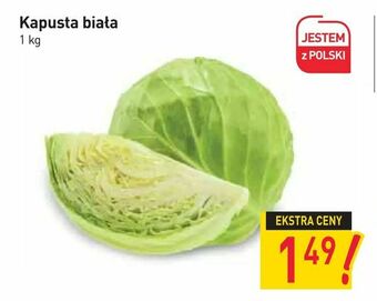 Stokrotka Kapusta biała oferta