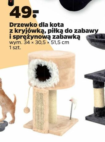 Netto Drzewko dla kota z kryjówką, piłką do zabawy i sprężynową zabawką oferta