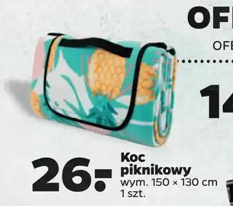 Netto Koc piknikowy oferta