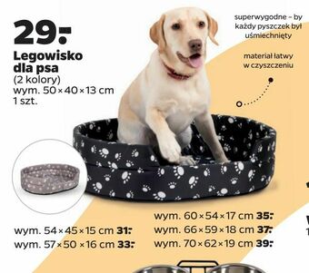 Netto Legowisko dla psa oferta