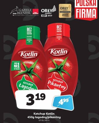 Delfin Ketchup Kotlin 450g oferta