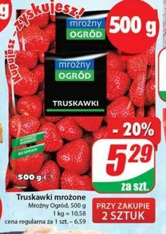 Dino Truskawki mroźny ogród oferta