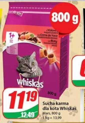 Dino Karma dla kota z wołowiną whiskas oferta