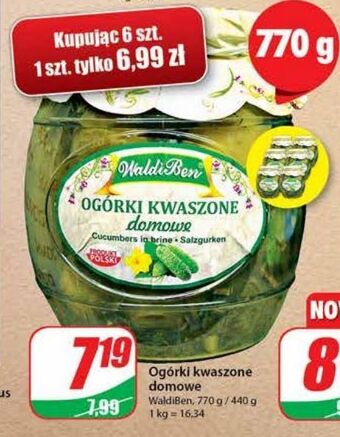 Dino Ogórki kwaszone domowe waldiben oferta