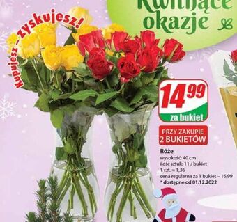 Dino Róża 40 cm oferta