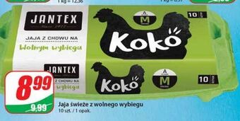 Dino Jaja kl. m jantex oferta