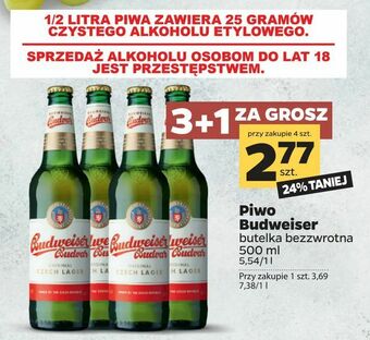Piwo Budweiser
