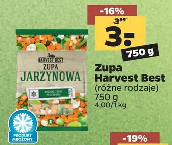Netto Zupa Harvest Best oferta