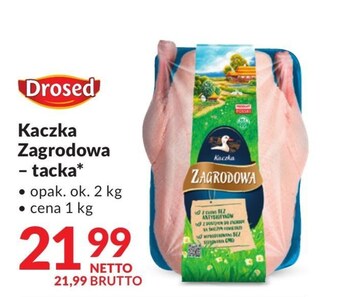 Makro Kaczka drosed oferta