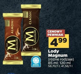 Netto Lody Magnum oferta