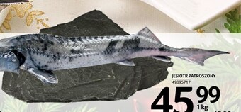 Selgros Jesiotr oferta
