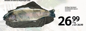 Selgros Pstrąg oferta