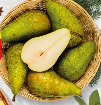 Polomarket Gruszka oferta