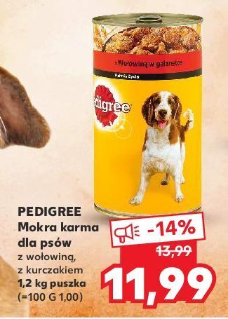 Kaufland Karma dla psa wołowina pedigree oferta