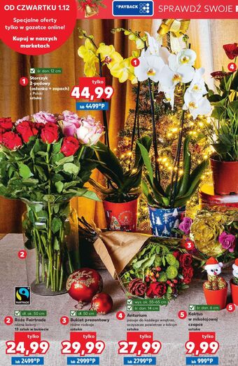 Kaufland Róże fairtrade oferta