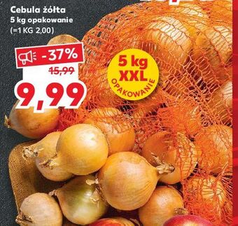 Kaufland Cebula żółta oferta