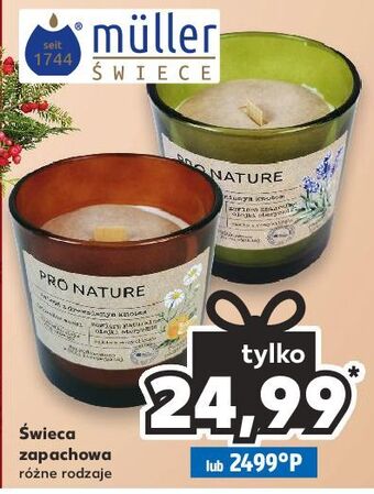 Kaufland Świeca w szkle rumianek i pomarańcza mueller pro nature oferta