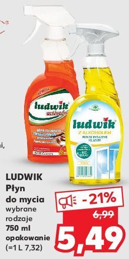 Kaufland Płyn do szyb i glazury lemon ludwik oferta