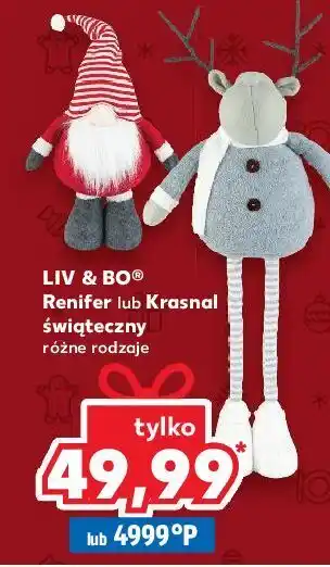 Kaufland Krasnal liv & bo oferta