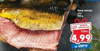 Kaufland Karp świeży płat oferta