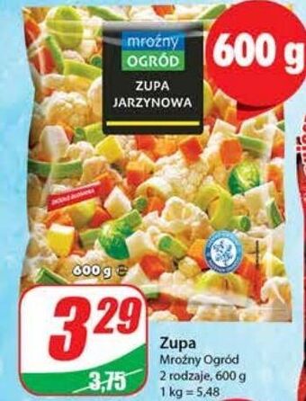 Dino Zupa jarzynowa mroźny ogród oferta