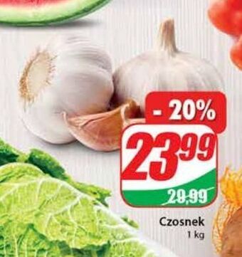 Dino Czosnek oferta