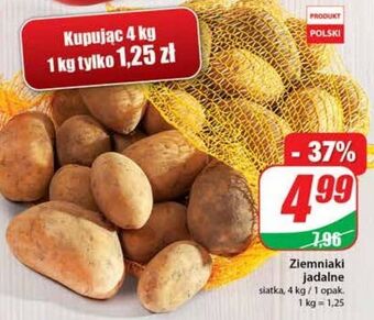 Dino Ziemniaki oferta