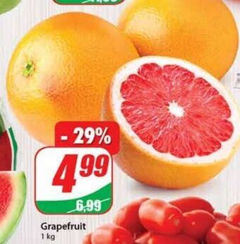 Dino Grapefruit czerwony oferta