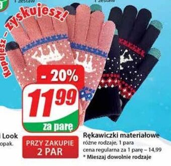 Dino Rękawiczki oferta