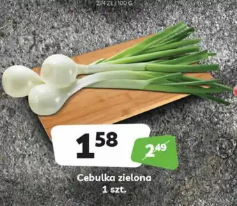 Delfin Cebulka zielona 1 sztuka oferta