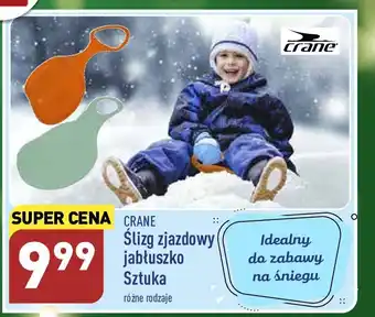 ALDI Ślizg jabłuszko oferta