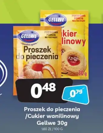 Delfin Proszek do pieczenia lub cukier waniliowy Gellwe 30g oferta
