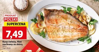 Lidl Karp - filet nacinany ze skórą oferta
