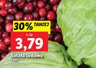 Lidl Sałata lodowa oferta