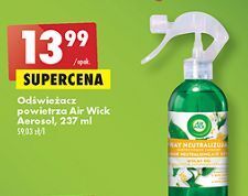 Biedronka Odświeżacz powietrza fresh dew & white jasmine air wick oferta