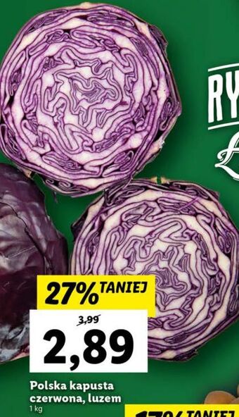 Lidl Kapusta czerwona oferta