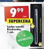 Biedronka Laska wanilii biedronka oferta