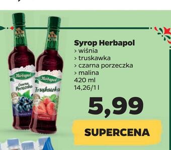 Netto Syrop herbapol oferta