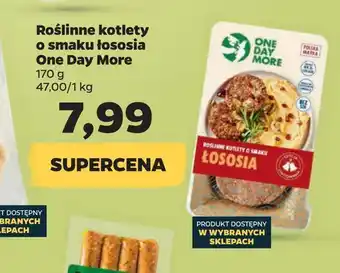 Netto Roślinne kotlety o smaku łososia one day more oferta